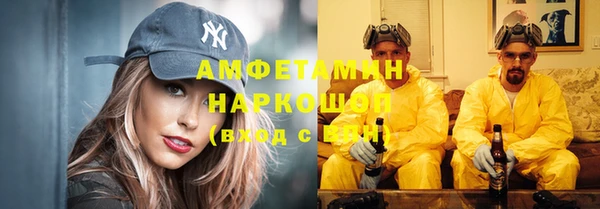 PSILOCYBIN Белокуриха