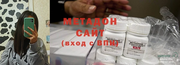 PSILOCYBIN Белокуриха