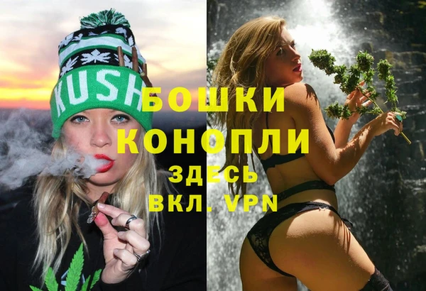 PSILOCYBIN Белокуриха