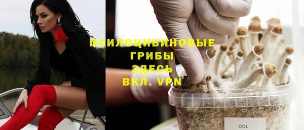 PSILOCYBIN Белокуриха