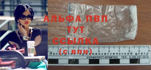 эйфоретик Беломорск