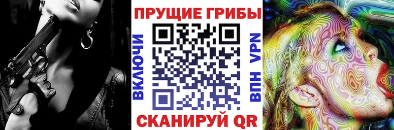 Галлюциногенные грибы Psilocybine cubensis Ермолино